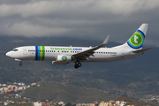 Transavia France Boeing 737-85H (F-GZHV) at  Tenerife Sur - Reina Sofia, Spain