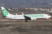 Transavia France Boeing 737-8K2 (F-GZHY) at  Tenerife Sur - Reina Sofia, Spain