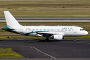 Amelia International Airbus A319-112 (F-HDSJ) at  Dusseldorf - International, Germany