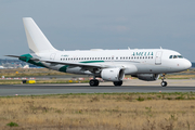 Amelia International Airbus A319-112 (F-HDSJ) at  Frankfurt am Main, Germany