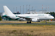 Amelia International Airbus A319-112 (F-HDSJ) at  Frankfurt am Main, Germany