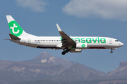 Transavia France Boeing 737-8K2 (F-HTVB) at  Tenerife Sur - Reina Sofia, Spain