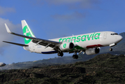 Transavia France Boeing 737-8K2 (F-HTVC) at  La Palma (Santa Cruz de La Palma), Spain