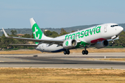 Transavia France Boeing 737-8JP (F-HTVX) at  Palma De Mallorca - Son San Juan, Spain