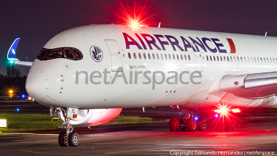 Air France Airbus A350-941 (F-HTYL) | Photo 593932