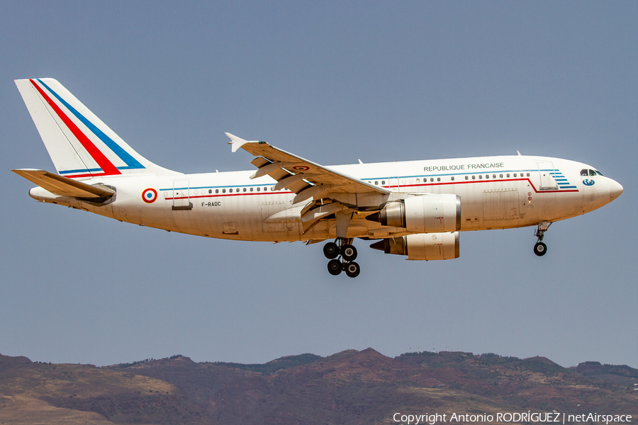 French Government Airbus A310-304 (F-RADC) | Photo 456409