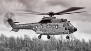 French Army (Armée de Terre) Aerospatiale AS332L1 Super Puma (2235) at  Amsterdam Heliport, Netherlands