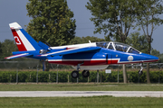 French Air Force (Armée de l’Air) Dassault-Dornier Alpha Jet E (E88) at  Rivolto - Air Base, Italy