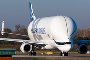 Airbus Transport International Airbus A330-743L Beluga XL (F-WBXL) at  Bremen, Germany