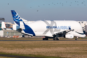 Airbus Transport International Airbus A330-743L Beluga XL (F-WBXL) at  Bremen, Germany