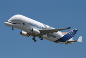 Airbus Transport International Airbus A330-743L Beluga XL (F-WBXL) at  Toulouse - Blagnac, France