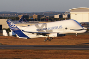 Airbus Transport International Airbus A330-743L Beluga XL (F-WBXL) at  Toulouse - Blagnac, France