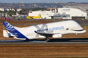 Airbus Transport International Airbus A330-743L Beluga XL (F-WBXL) at  Toulouse - Blagnac, France