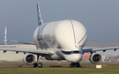 Airbus Transport International Airbus A330-743L Beluga XL (F-WBXL) at  Toulouse - Blagnac, France