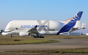 Airbus Transport International Airbus A330-743L Beluga XL (F-WBXL) at  Toulouse - Blagnac, France