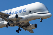 Airbus Transport International Airbus A330-743L Beluga XL (F-WBXL) at  Toulouse - Blagnac, France