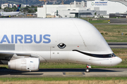 Airbus Transport International Airbus A330-743L Beluga XL (F-WBXL) at  Toulouse - Blagnac, France
