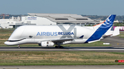 Airbus Transport International Airbus A330-743L Beluga XL (F-WBXL) at  Toulouse - Blagnac, France