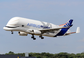 Airbus Transport International Airbus A330-743L Beluga XL (F-WBXL) at  Toulouse - Blagnac, France