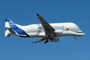 Airbus Transport International Airbus A330-743L Beluga XL (F-WBXL) at  Toulouse - Blagnac, France