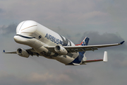 Airbus Transport International Airbus A330-743L Beluga XL (F-WBXL) at  Toulouse - Blagnac, France