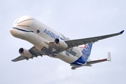 Airbus Transport International Airbus A330-743L Beluga XL (F-WBXL) at  Hamburg - Finkenwerder, Germany