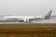 Airbus Industrie Airbus A350-1041 (F-WLXV) at  Hamburg - Finkenwerder, Germany