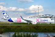 Airbus Industrie Airbus A321-253NY (F-WWAB) at  Hamburg - Fuhlsbuettel (Helmut Schmidt), Germany