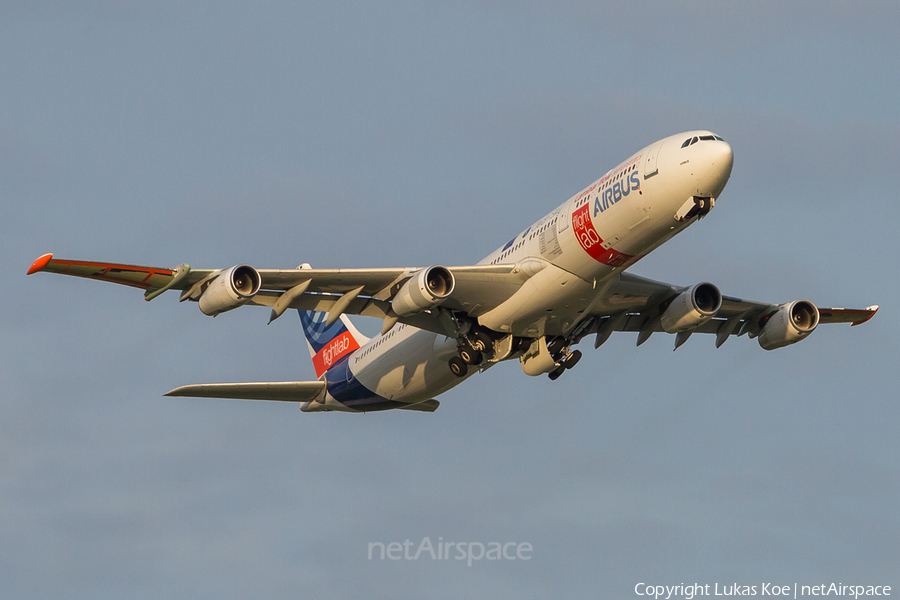 Airbus Industrie Airbus A340-311 (F-WWAI) | Photo 240969