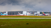 Asiana Airlines Airbus A380-841 (F-WWAP) at  Hamburg - Finkenwerder, Germany