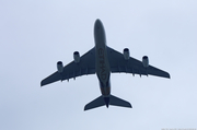 Etihad Airways Airbus A380-861 (F-WWAY) at  Hamburg - Finkenwerder, Germany