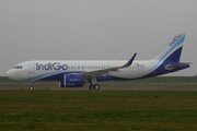 IndiGo Airbus A320-271N (F-WWDM) at  Hamburg - Finkenwerder, Germany