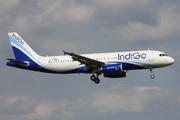 IndiGo Airbus A320-232 (F-WWDZ) at  Hamburg - Fuhlsbuettel (Helmut Schmidt), Germany