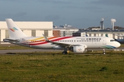 Colorful Guizhou Airlines Airbus A320-251N (F-WWII) at  Hamburg - Finkenwerder, Germany