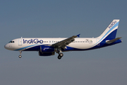 IndiGo Airbus A320-232 (F-WWIP) at  Hamburg - Finkenwerder, Germany