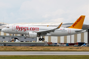 Pegasus Airlines Airbus A320-251N (F-WWIQ) at  Hamburg - Finkenwerder, Germany