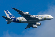 Airbus Industrie Airbus A380-841 (F-WWJB) at  Hamburg - Finkenwerder, Germany