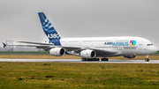 Airbus Industrie Airbus A380-861 (F-WWOW) at  Hamburg - Finkenwerder, Germany