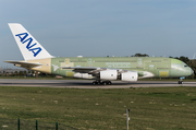 All Nippon Airways - ANA Airbus A380-841 (F-WWSH) at  Hamburg - Finkenwerder, Germany