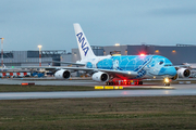 All Nippon Airways - ANA Airbus A380-841 (F-WWSH) at  Hamburg - Finkenwerder, Germany