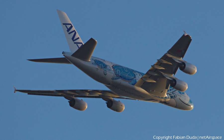 All Nippon Airways - ANA Airbus A380-841 (F-WWSH) | Photo 294140
