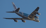 All Nippon Airways - ANA Airbus A380-841 (F-WWSH) at  Hamburg - Finkenwerder, Germany