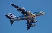 All Nippon Airways - ANA Airbus A380-841 (F-WWSH) at  Hamburg - Finkenwerder, Germany