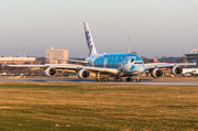 All Nippon Airways - ANA Airbus A380-841 (F-WWSH) at  Hamburg - Finkenwerder, Germany