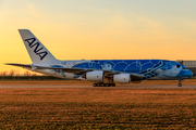 All Nippon Airways - ANA Airbus A380-841 (F-WWSH) at  Hamburg - Finkenwerder, Germany
