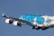 All Nippon Airways - ANA Airbus A380-841 (F-WWSH) at  Hamburg - Finkenwerder, Germany