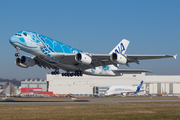 All Nippon Airways - ANA Airbus A380-841 (F-WWSH) at  Hamburg - Finkenwerder, Germany