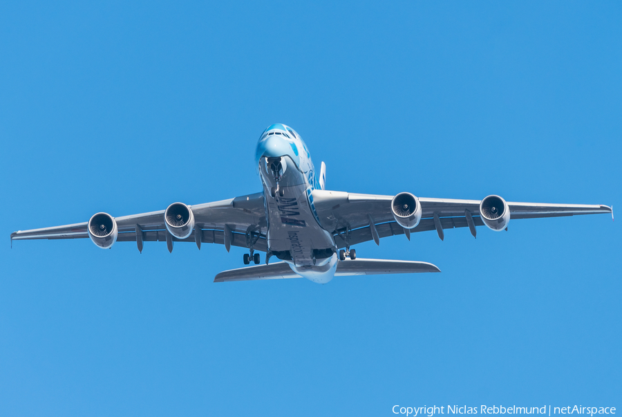 All Nippon Airways - ANA Airbus A380-841 (F-WWSH) | Photo 297044
