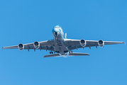 All Nippon Airways - ANA Airbus A380-841 (F-WWSH) at  Hamburg, Germany