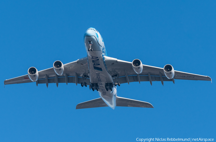 All Nippon Airways - ANA Airbus A380-841 (F-WWSH) | Photo 297047